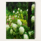 Limelight Hortensia's in Mijn Rubio Tuin Planner (Achterkant)