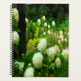 Limelight Hortensia's in Mijn Rubio Tuin Planner
