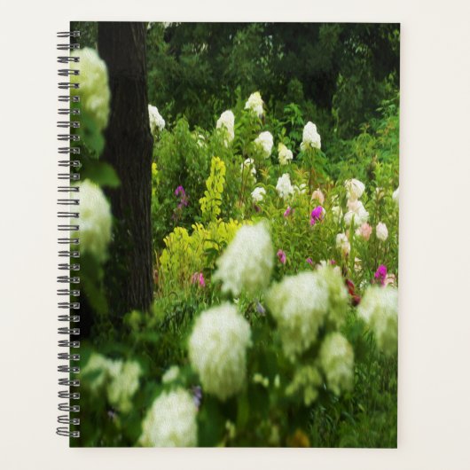 Limelight Hortensia's in Mijn Rubio Tuin Planner (Voorkant)