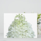 Limelight Hydrangea Bridal / Wedding Shower Kaart (Staand voorkant)