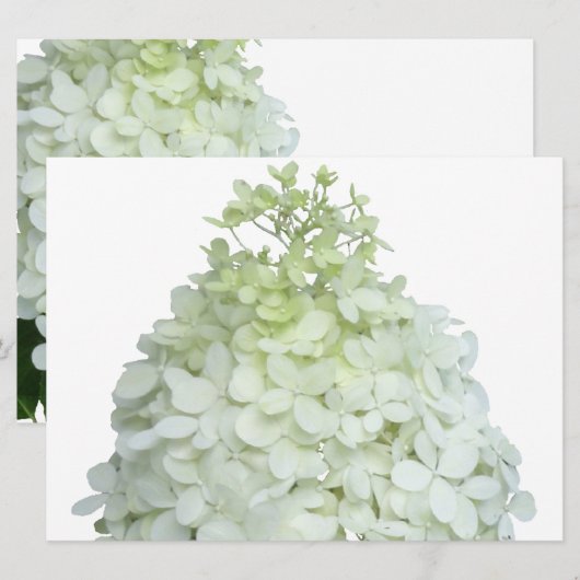 Limelight Hydrangea Bridal / Wedding Shower Kaart (Voorkant / Achterkant)
