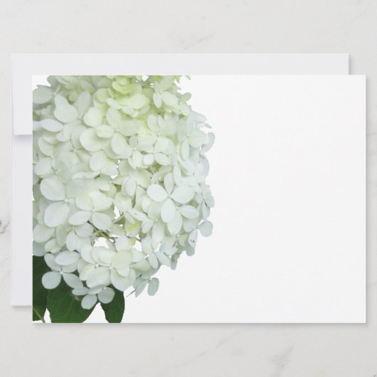Limelight Hydrangea Bridal / Wedding Shower Kaart (Achterkant)