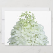 Limelight Hydrangea Bridal / Wedding Shower Kaart (Voorkant)