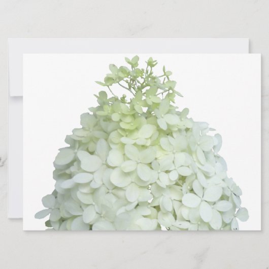 Limelight Hydrangea Bridal / Wedding Shower Kaart (Voorkant)