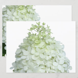 Limelight Hydrangea Bridal / Wedding Shower Kaart