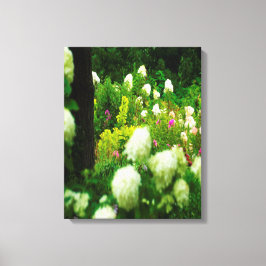 Limelight Hydrangea's in Mijn Rubio Tuin Canvas Afdruk