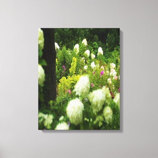 Limelight Hydrangea's in Mijn Rubio Tuin Canvas Afdruk (Voorkant)