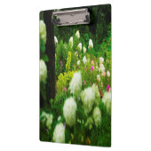 Limelight Hydrangea's in Mijn Rubio Tuin Klembord (Links)