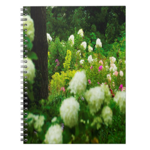Limelight Hydrangea's in Mijn Rubio Tuin Notitieboek