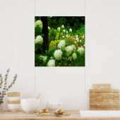 Limelight Hydrangea's in Mijn Rubio Tuin Poster (Keuken)