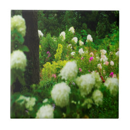 Limelight Hydrangea's in Mijn Rubio Tuin Tegeltje