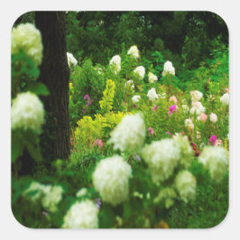 Limelight Hydrangea's in Mijn Rubio Tuin Vierkante Sticker