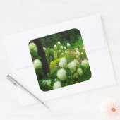 Limelight Hydrangea's in Mijn Rubio Tuin Vierkante Sticker (Envelop)