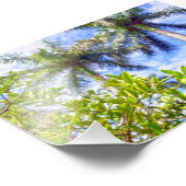 Limequats in Florida Foto Afdruk (Hoek)