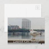 Limerick City, Ierland Briefkaart (Voorkant / Achterkant)