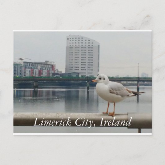 Limerick City, Ierland Briefkaart (Voorkant)