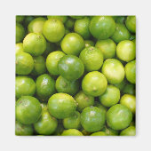 Limes magneet 01 (Voorkant)