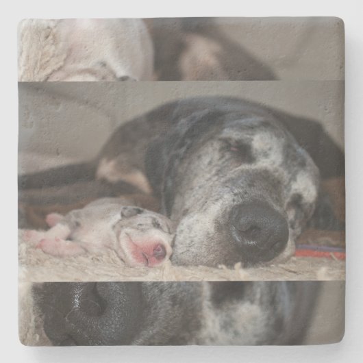 Limestone Coasters Great Dane Photography  Stenen Onderzetter (Voorkant)