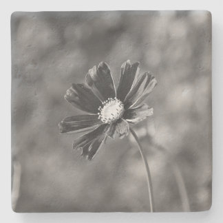 Limestone Coasters square Photography  Stenen Onderzetter