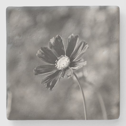 Limestone Coasters square Photography  Stenen Onderzetter (Voorkant)