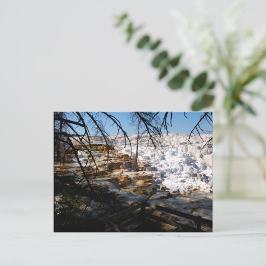 Limestone terrace Mammoth Hot Spring Yellowstone Briefkaart (Staand voorkant)