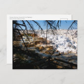 Limestone terrace Mammoth Hot Spring Yellowstone Briefkaart (Voorkant / Achterkant)