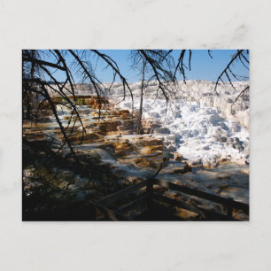 Limestone terrace Mammoth Hot Spring Yellowstone Briefkaart