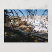 Limestone terrace Mammoth Hot Spring Yellowstone Briefkaart (Voorkant)