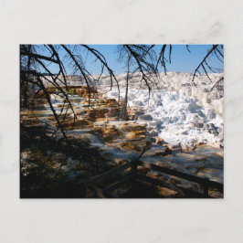 Limestone terrace Mammoth Hot Spring Yellowstone Briefkaart