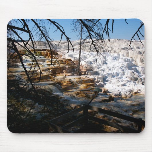 Limestone terrace Mammoth Hot Spring Yellowstone Muismat (Voorkant)