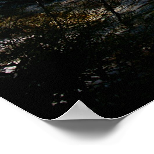 Limestone terrace Mammoth Hot Spring Yellowstone Poster (Hoek)