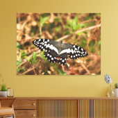 Limevlinder in het wild Beschadigde vleugels, onge Canvas Afdruk (Insitu (Woonkamer))