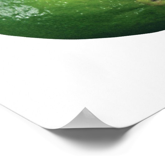 LimietPoster Poster (Hoek)