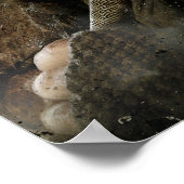 Limited Edition Artwork: Bofur Poster (Hoek)