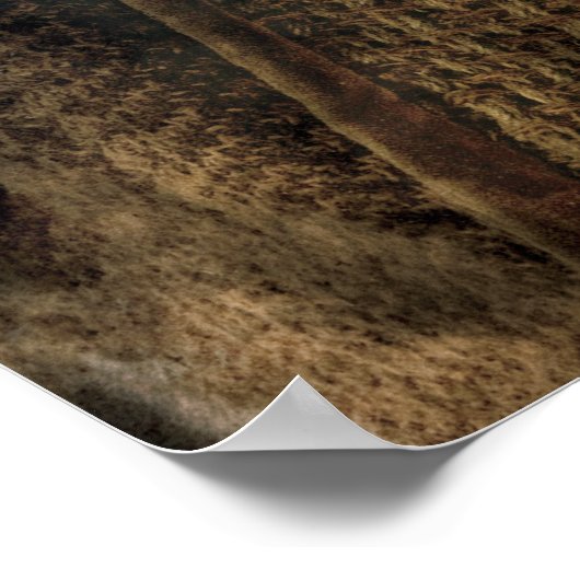 Limited Edition Artwork: oin Poster (Hoek)