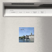 Limmat River in Zürich Magneet (Insitu (Vaatwasser))