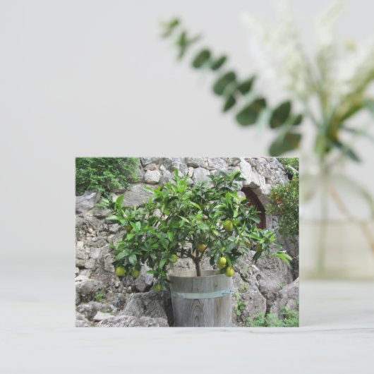 Limoen Briefkaart (Staand voorkant)