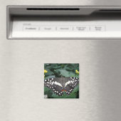 Limoen Butterfly en bloemen Magnet (Insitu (Vaatwasser))
