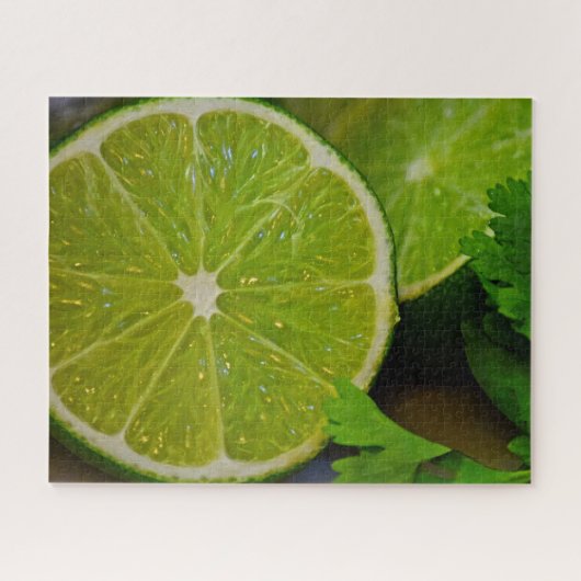 Limoen & Cilantro - 16x20 - 520 pc Legpuzzel (Horizontaal)