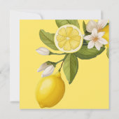 Limoen citrus Baby shower Bedankkaart (Achterkant)