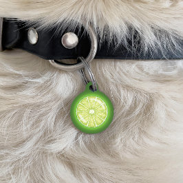 Limoen Citrus Fruit Slice Met Pet's Custom Info Huisdierpenning