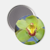 Limoen Cymbidiumbloemen Magneet (Voorkant / Achterkant)