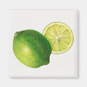 limoen magneet (Voorkant)