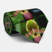 Limoen-paphiopedilum argus bloemen stropdas (Opgerold)