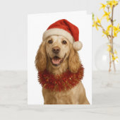 Limoen-roan Cocker Spaniel Kerstkaart Kaart (Gele Bloem)