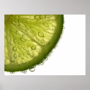 Limoen Slice Bubbles Voedsel Fotografie Prints