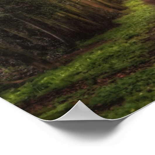 Limoen structuurpad poster (Hoek)