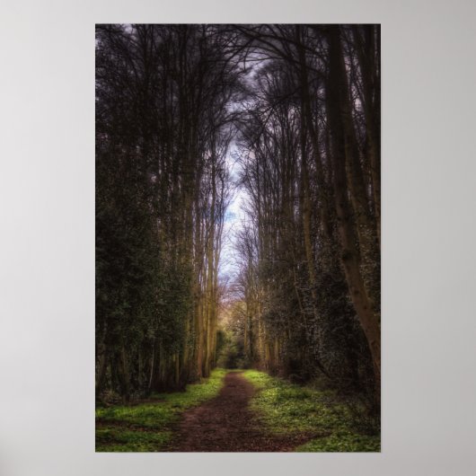 Limoen structuurpad poster (Voorkant)