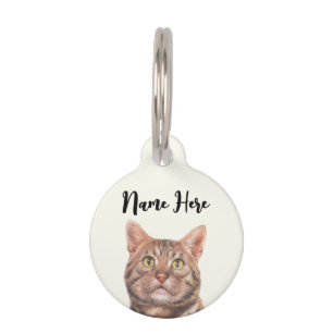 Limoen Yellow American Shorthair Cat Huisdierpenning