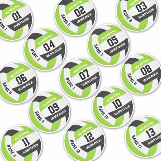 limoen zwarte 13 spelers volleyball sticker
